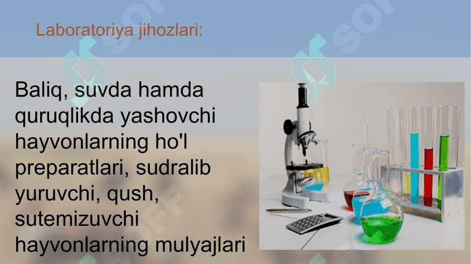 Umurtqali hayvonlar misolida aromorfoz, idioadaptatsiyalarni o'rganish 3