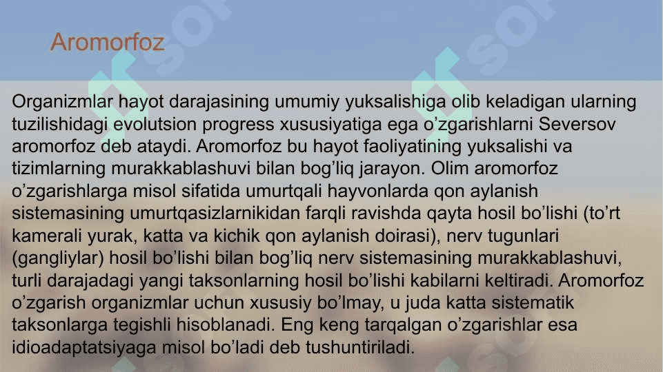 Umurtqali hayvonlar misolida aromorfoz, idioadaptatsiyalarni o'rganish 4