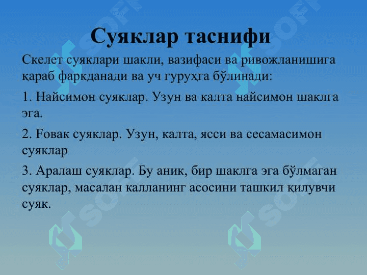 Умумий остеология тўғрисида тушунча 6