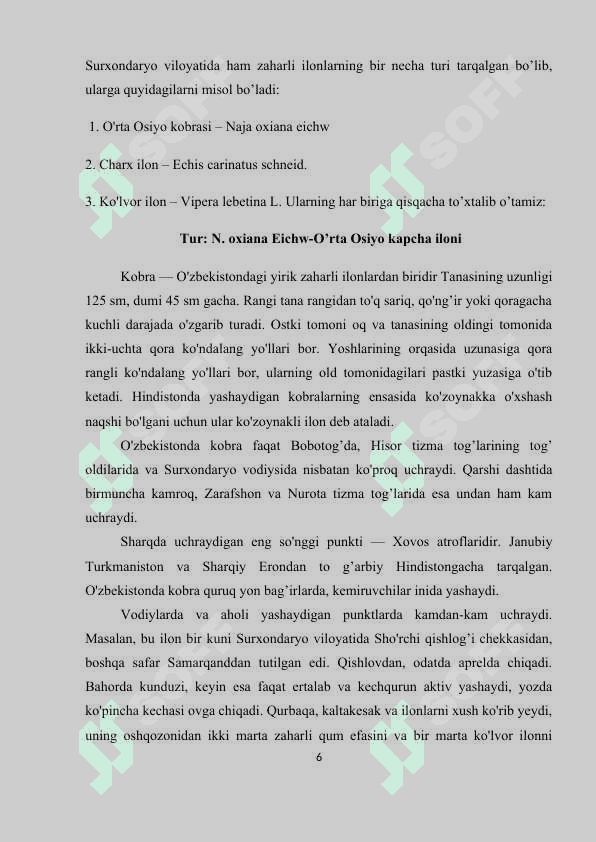 Surxondaryo viloyati sharoitida uchrovchi ilonlar 5