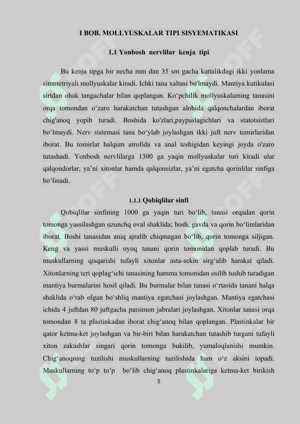 Molyusskalar  tipi sistematikasi filogenezi va ekologiyasi 5