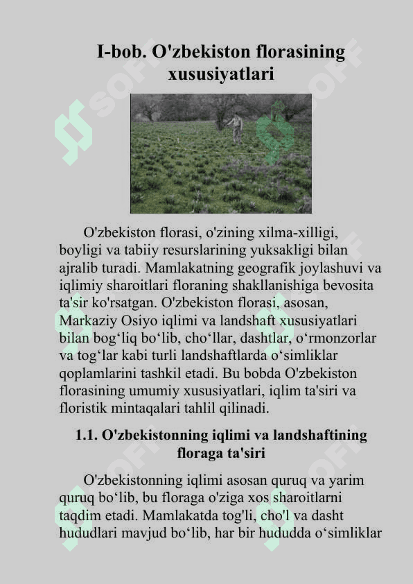 O’zbekiston florasidagi o’simliklar qoplami va uning o’ziga xosligi (kurs ishi) 6