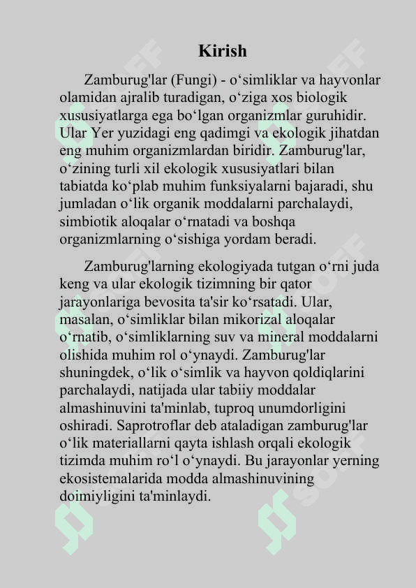 Zamburug’larning ekologik guruhlari va asosiy vakillari (kurs ishi) 3