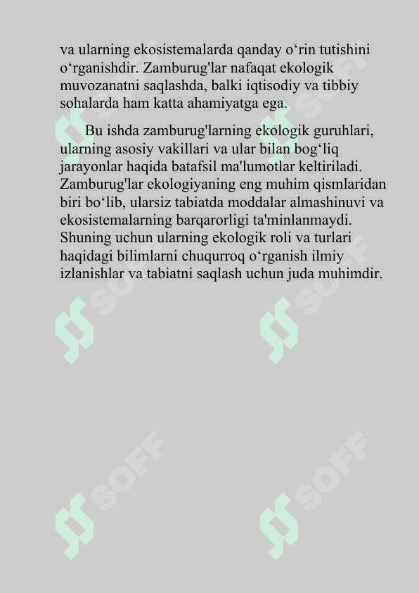 Zamburug’larning ekologik guruhlari va asosiy vakillari (kurs ishi) 5