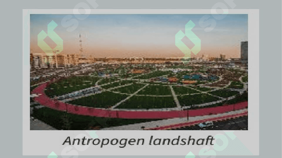 Landshaftlar 6