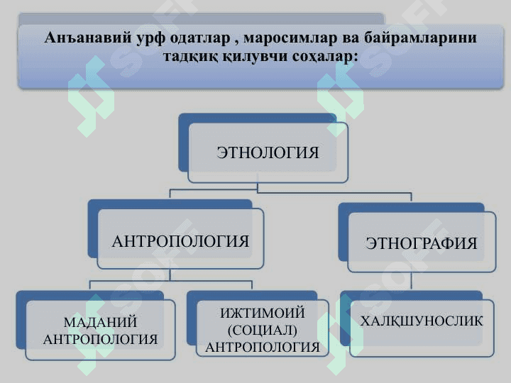 Жамиятнинг Анъанавий урф одатлар , маросимлар ва байрамлари 2