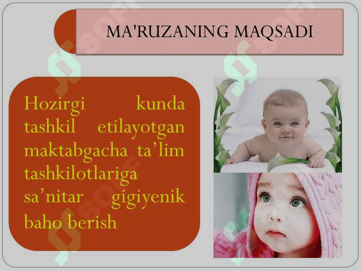 MAKTABGACHA TA’LIM 
TASHKILOTLARINI LOYIHALASHTIRISH 2