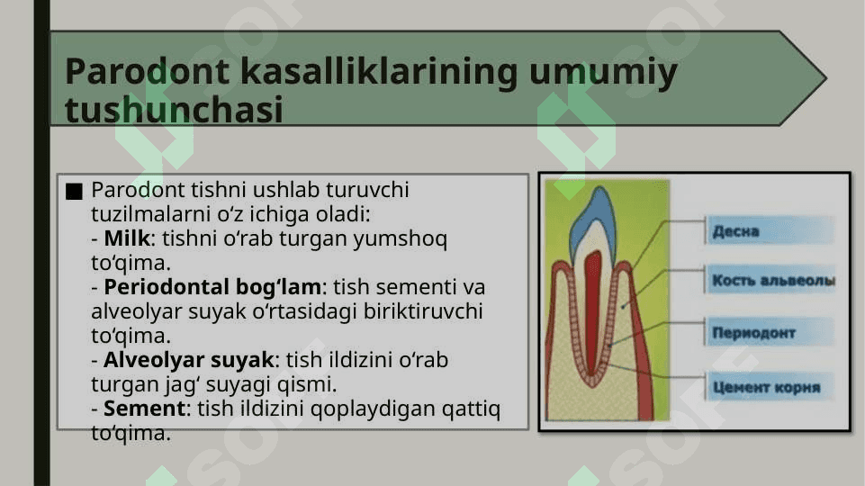 Parodont kasalliklari klassifikasiyasi 3
