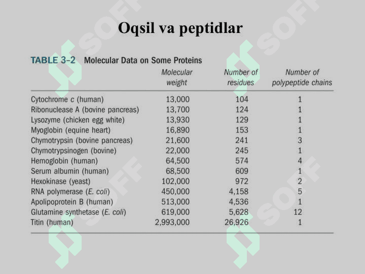 Oqsillar qurilishi 2