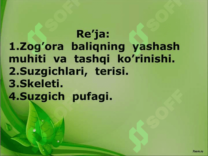 Baliqlar 5