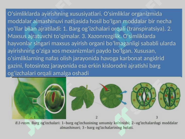 Biologiyada AYIRISH (EKSKRETSIYA) 4