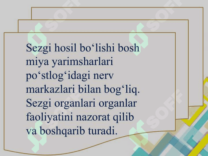 Sezgi organlari 6