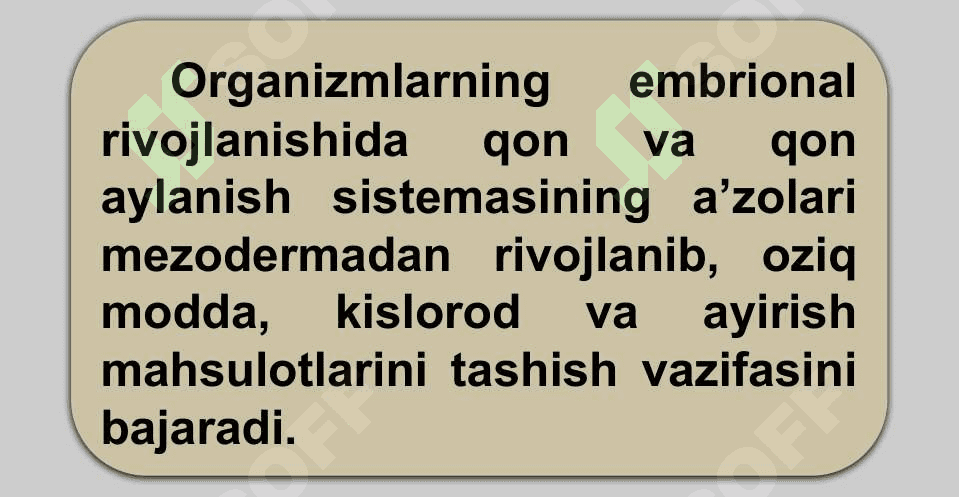 HAYVONLARNING QON AYLANISH ORGANLARI EVOLUTSIYASI 7