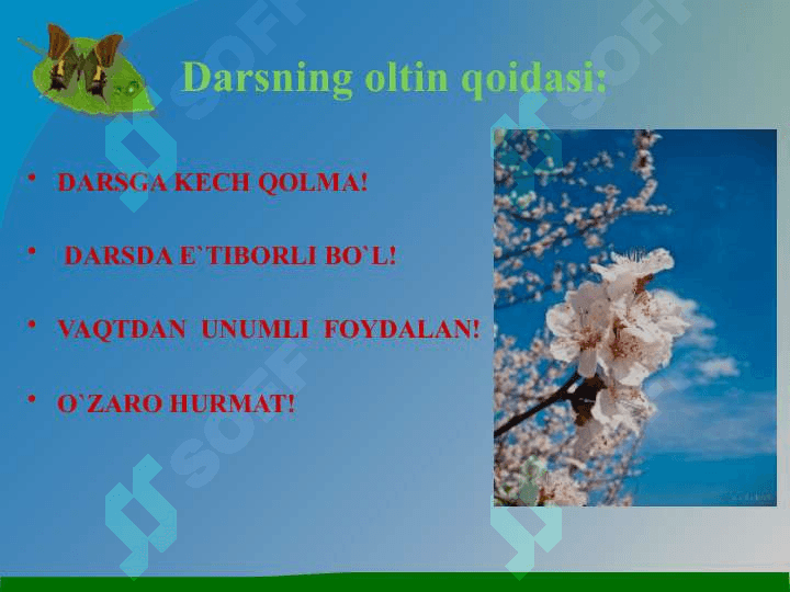 Gullarning changlanishi 2