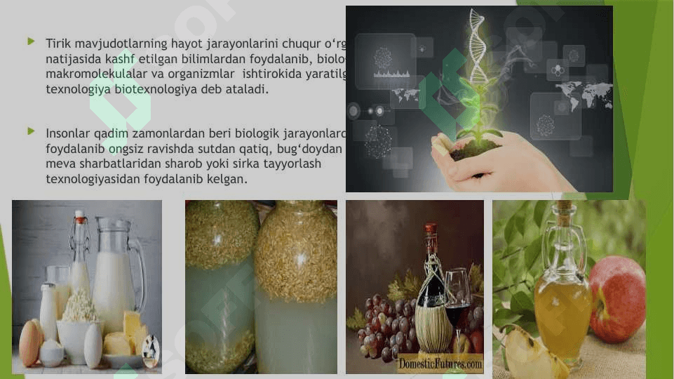 GEN VA HUJAYRA MUHANDISLIGIGA ASOSLANGAN BIOTEXNOLOGIYA 2