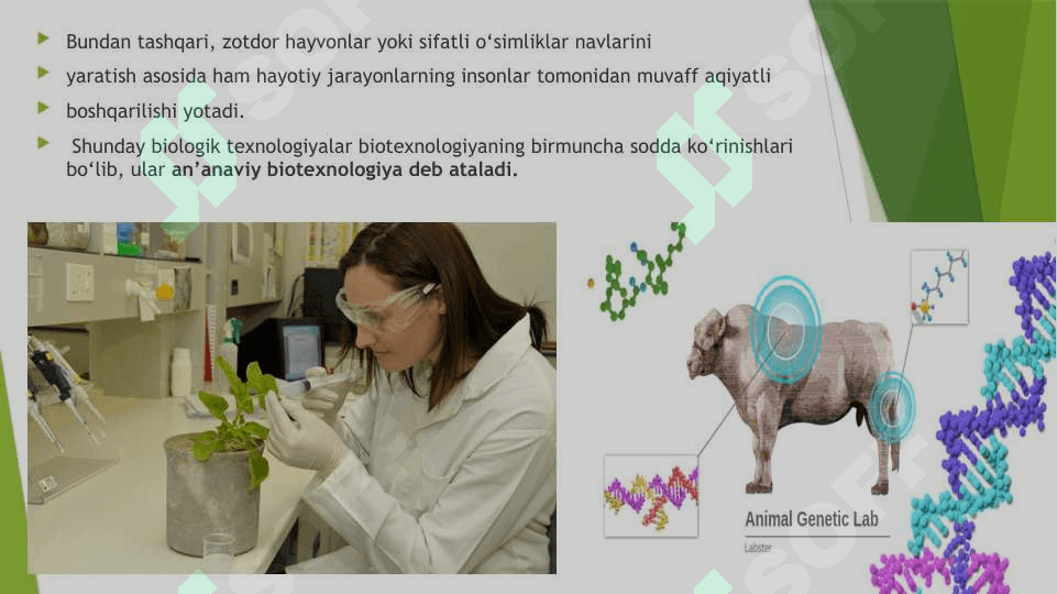 GEN VA HUJAYRA MUHANDISLIGIGA ASOSLANGAN BIOTEXNOLOGIYA 3