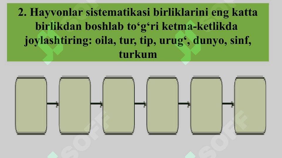 HAYVONLAR  SISTEMATIKASINI O‘RGANISH 3