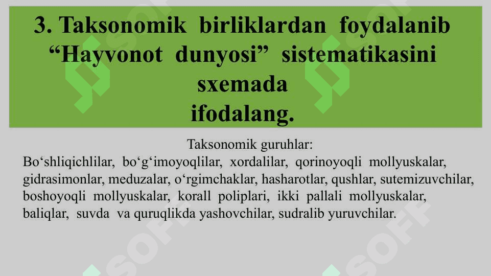 HAYVONLAR  SISTEMATIKASINI O‘RGANISH 4