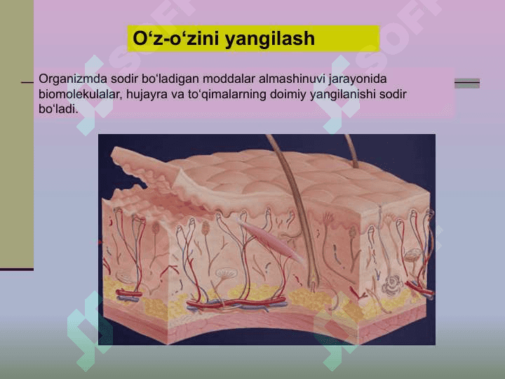 HAYOT MOHIYATI VA TIRIKLIKNING  XUSUSIYATLARI 8