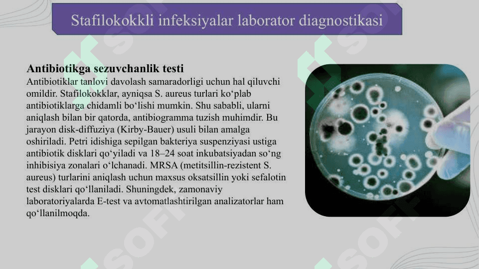 Stafilokokkli infeksiyalarning laborator diagnostikasi Streptokokkli infeksiyalarni laboratoriya diagnostikasi Pasteurellyozli infeksiyalarning laborator diagnostikasi Cho‘chqalar saramas kasalligini laborator diagnostikasi Kolibakteriozni laboratoriya diagnostikasi Salmonellyozni laboratoriya diagnostikasi 6
