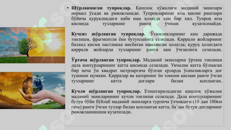 Қишлоқ хўжалик экологияси 7