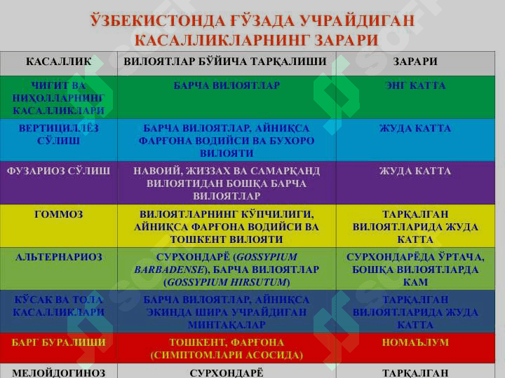 Ғўза ва донли экинларни бактерияли касалликлари ва уларга қарши кураш чоралари 5