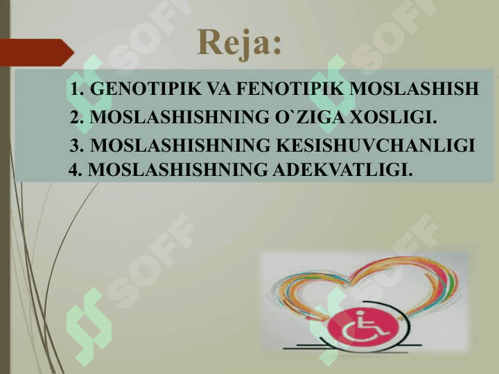 ORGANIZMNI JISMONIY MADANIYAT MOSLASHUVINI SHAKLLARI. JISMONIY TARBIYA JARAYONIDA ADAPTIV JISMONIY MADANIYATNI TADBIQ QILISHNI O`ZIGA XOS XUSUSIYATLARI 2