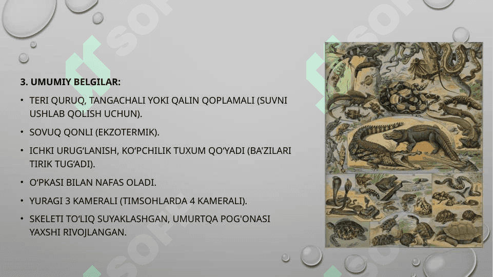 Sudralib yuruvchilar 3