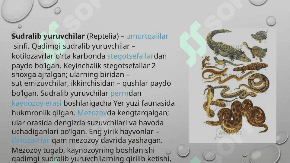 Sudralib yuruvchilar 4