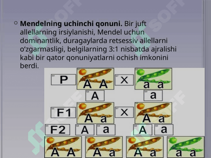 Plastik almashinuv. Oqsillar biosintezi. Genetik kod 2
