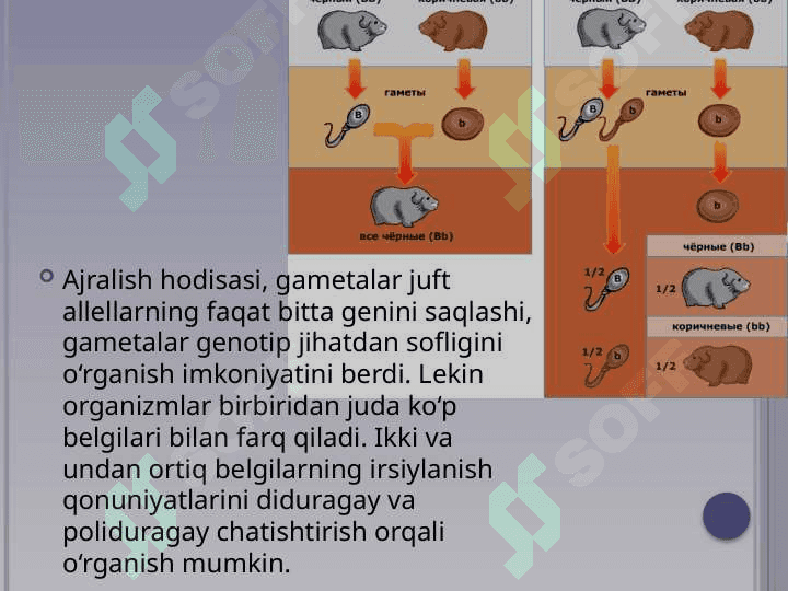 Plastik almashinuv. Oqsillar biosintezi. Genetik kod 3