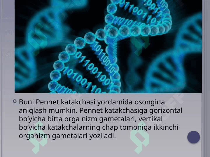Plastik almashinuv. Oqsillar biosintezi. Genetik kod 8