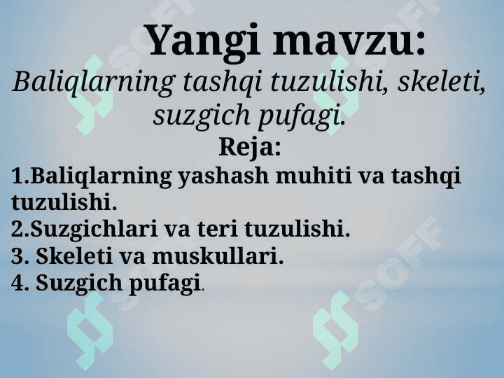 BALIQLARNI TASHQI TUZULISHI, SKELETI VA SUZGICH PUFAGI 2