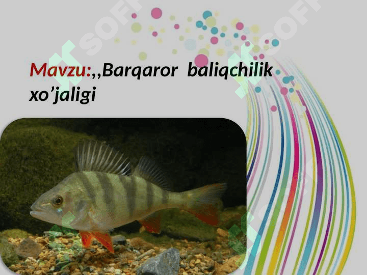 Barqaror  baliqchilik  xo’jaligi 3
