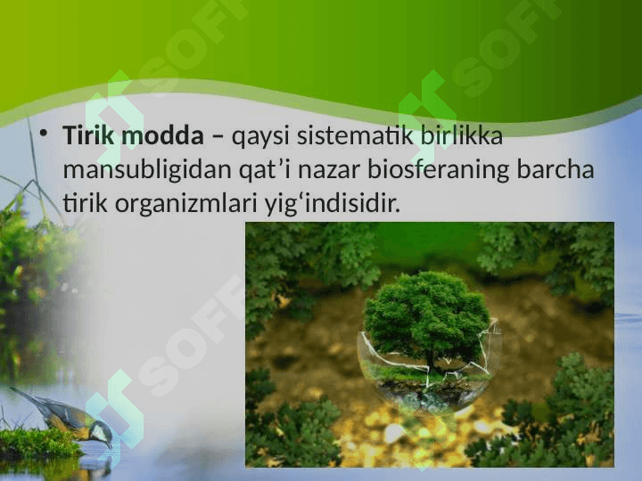 Biosferadagi tirik moddaning xususiyatlari va funksiyalari 2