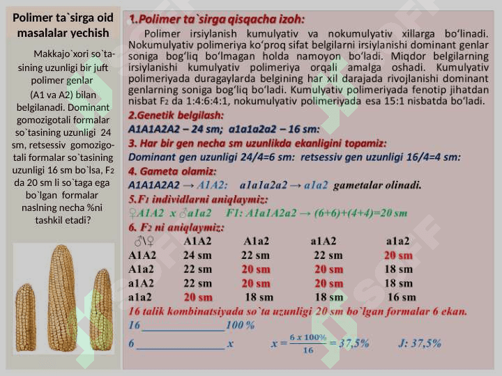 O`ZARO POLIMER TA`SIRLANISHIGA OID MASALALAR YSHISH 2