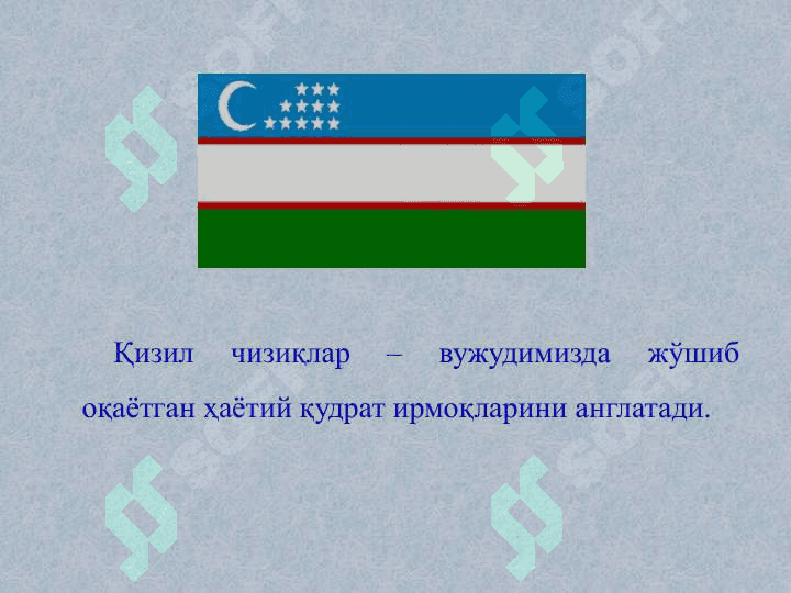 ЎЗБЕКИСТОН РЕСПУБЛИКАСИНИНГ ДАВЛАТ БАЙРОҒИ 6