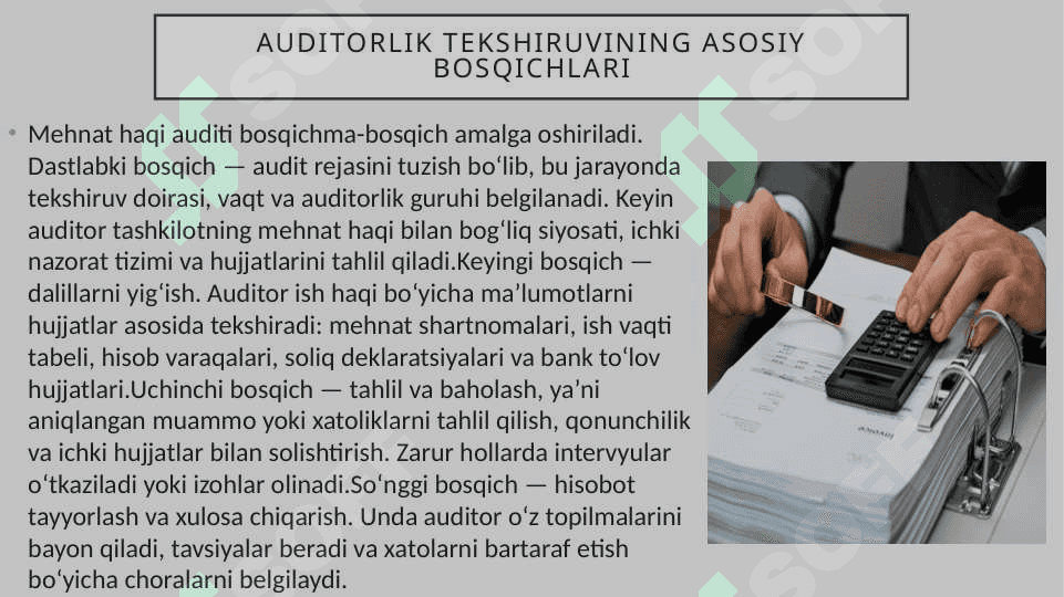 Mehnat haqi bo’yicha hisob-kitoblar auditi 8