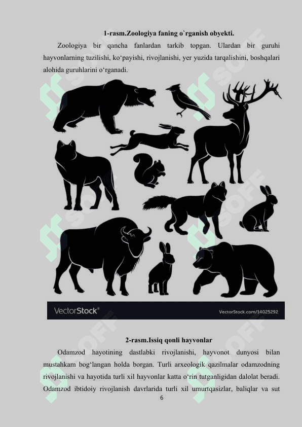 Zoologiyaning rivojlanish tarixi va zamonaviy muammolari. 6