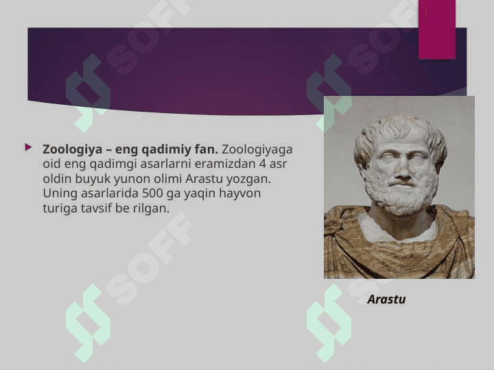 Zoologiyaning rivojlanish tarixi va zamonaviy muammolari. 4