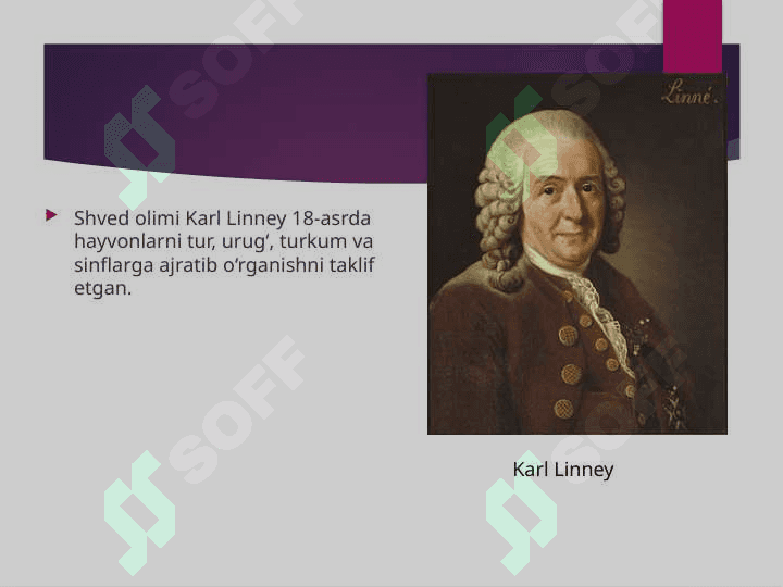 Zoologiyaning rivojlanish tarixi va zamonaviy muammolari. 6