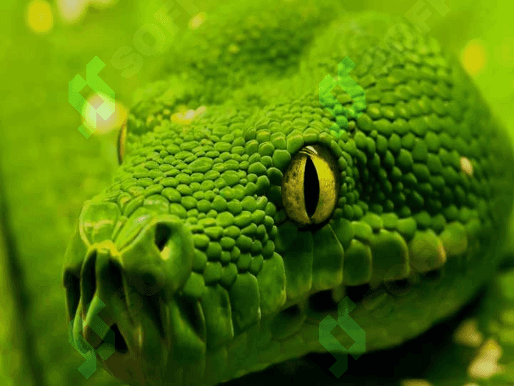 Zoologiyaning rivojlanish tarixi va zamonaviy muammolari. 8
