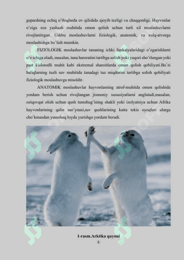 YASHASH MUHITI OMILLARI VA HAYVONLARNING MOSLANISH XUSUSIYATLARI 6