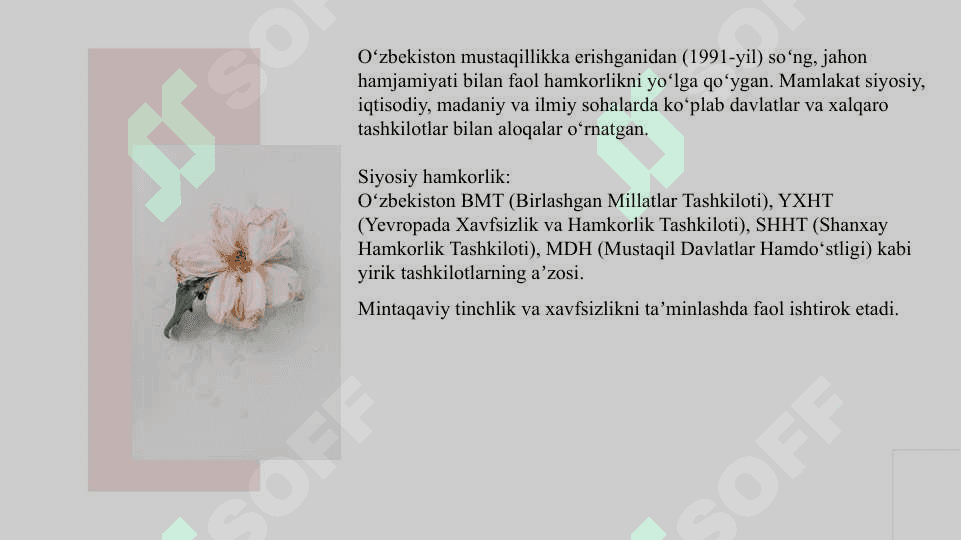 O'zbekiston va jahon hamjamiyati 2