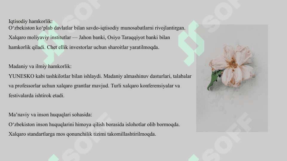 O'zbekiston va jahon hamjamiyati 3