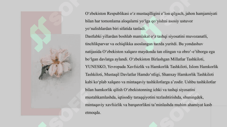 O'zbekiston va jahon hamjamiyati 4