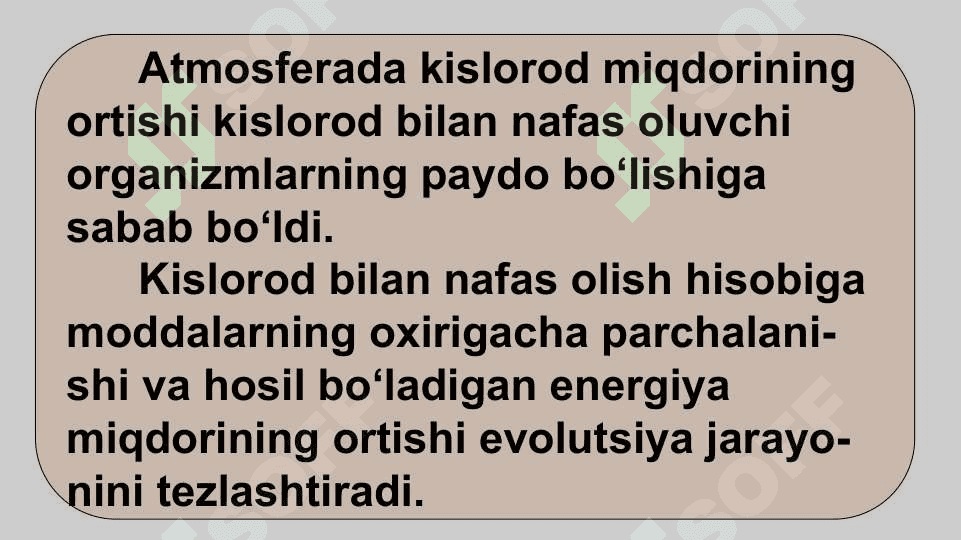 HAYVONLARNING NAFAS OLISH ORGANLARI EVOLUTSIYASI 5