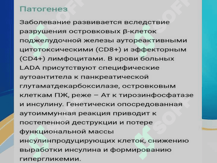 LADA tip diabet 6