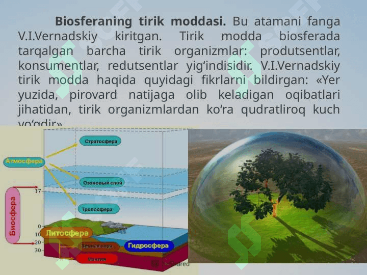 11-sinf biologiya Biosferaning tarkibi 3