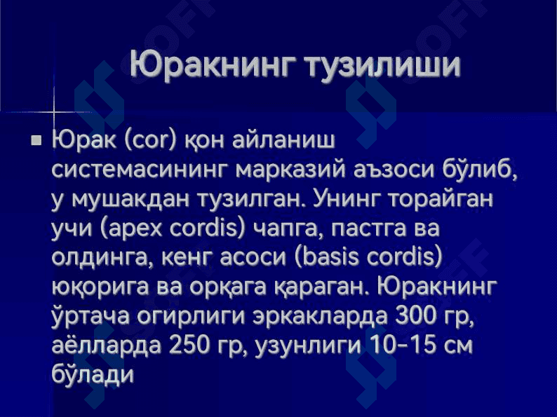 Юрак, қон айланиш доиралари, юракнинг ёшга қараб ўзгариши 3